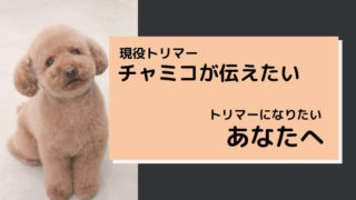 トリマーになるためには